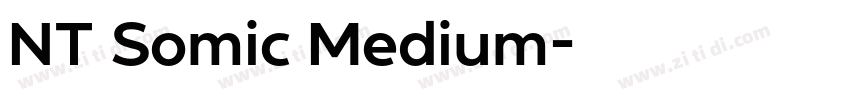 NT Somic Medium字体转换